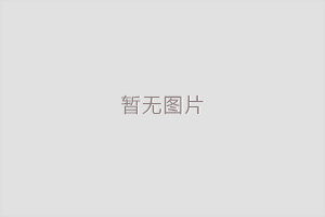 浙江邦強(qiáng) 百絲特6：1環(huán)型穿絲吊帶1
